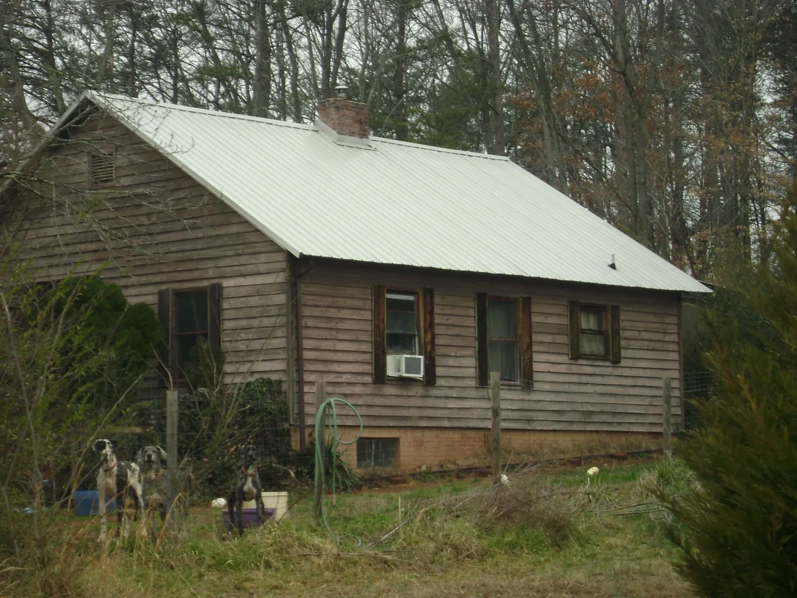White metal roof on an old wood sided farmhouse, from a Asphalt Shingle Roof Repair job in Herscher